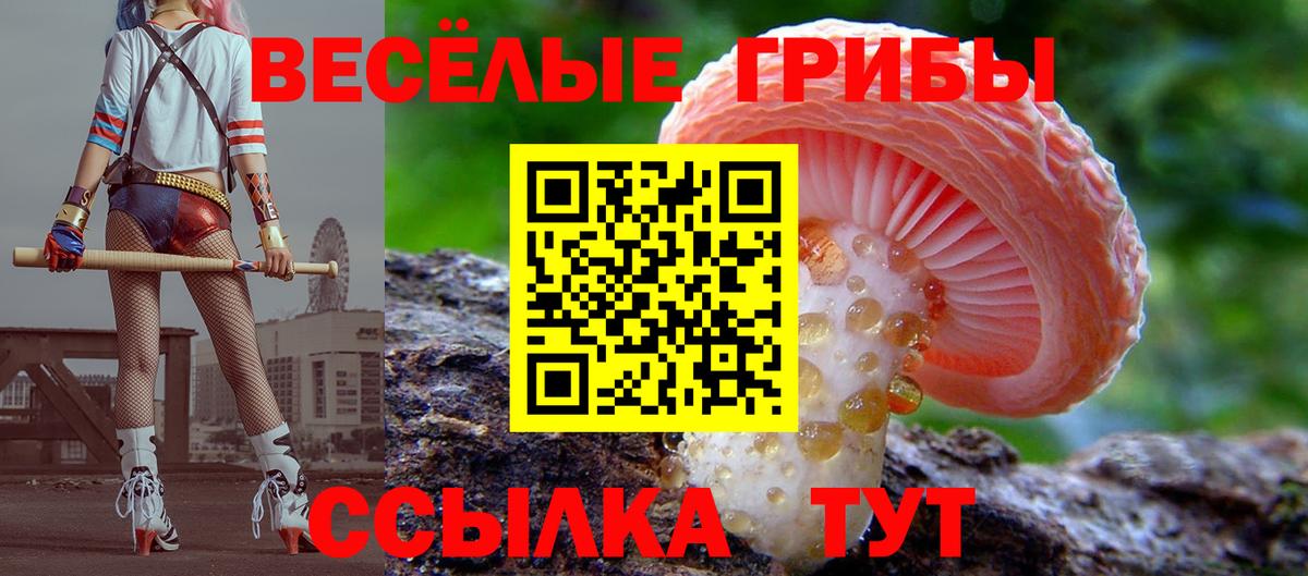 Псилоцибиновые грибы MAGIC MUSHROOMS  Псилоцибиновые грибы Cubensis  Бугульма  Вход с VPN 